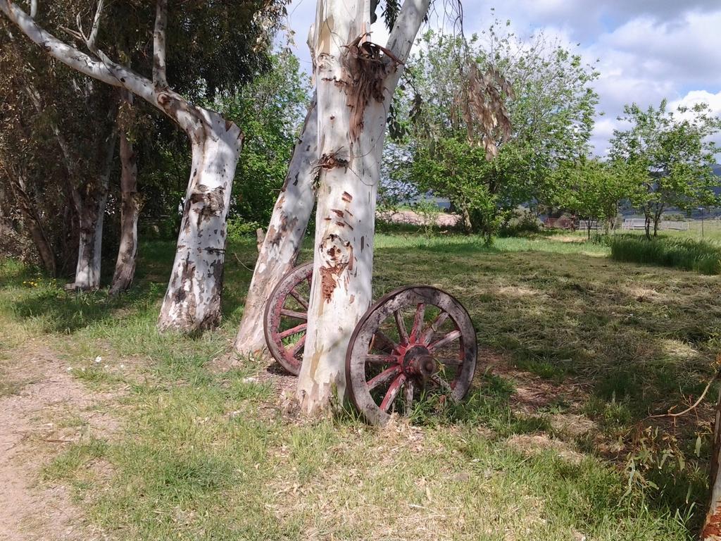 Perfugas Agriturismo Spinalva מראה חיצוני תמונה
